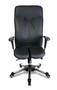 HARA CHAIR CAE 01 desk chair back intervertebral disc chair 4