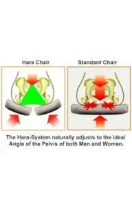 HARA CHAIR ZEN 01 ergonomic swivel chair office swivel chairs 1